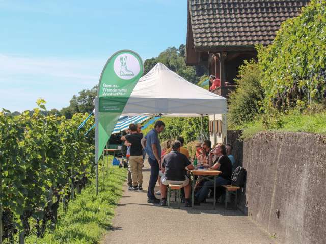 Genuss-Wanderung, Natur, Rebberge, Wandergruppe, wandern, Zürcher Weinland